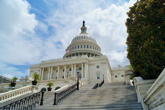 Government Industry